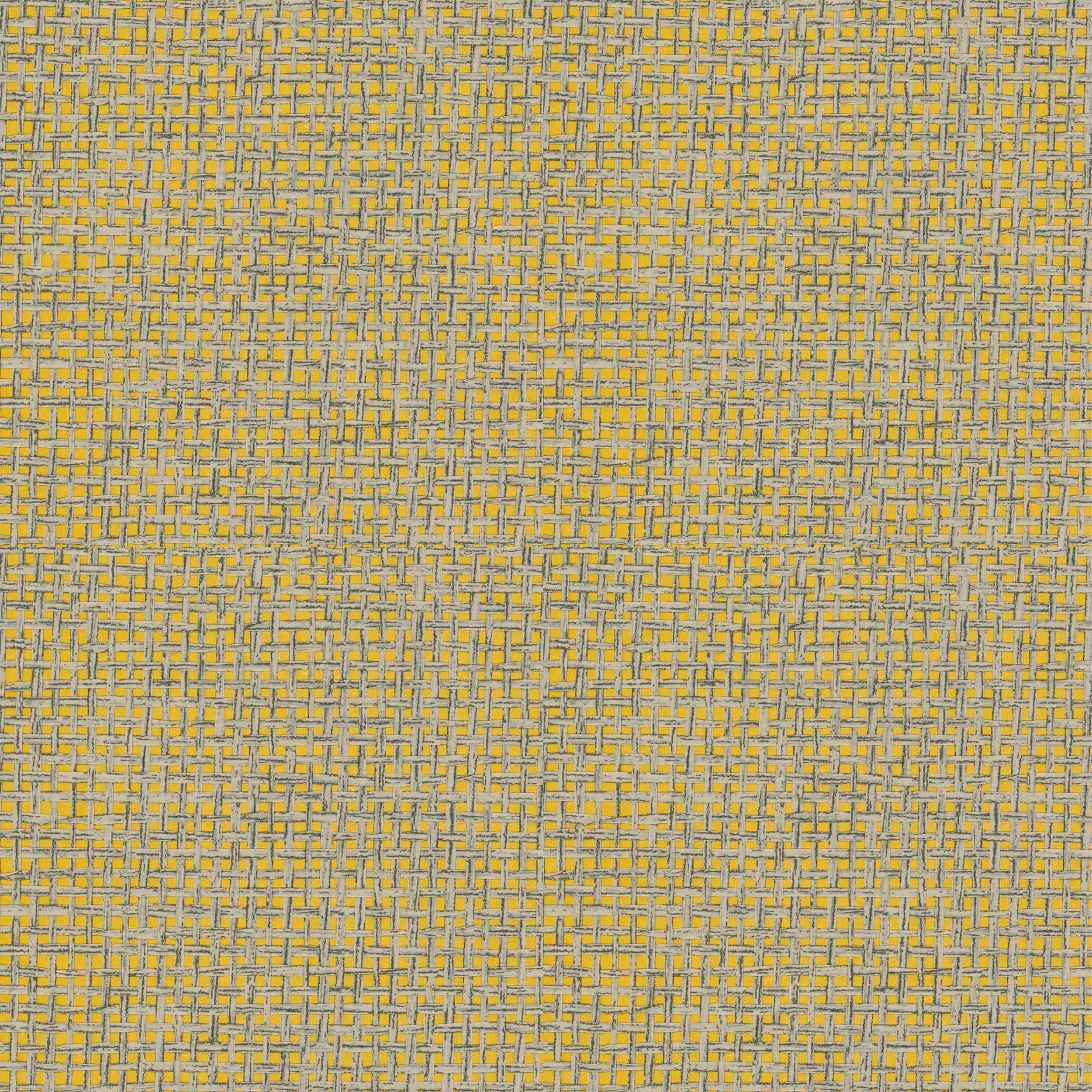 9100014, Coordonne 5mp / rola